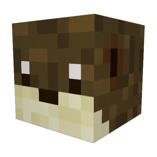 MirrorXD Minecraft avatar head, 3D render