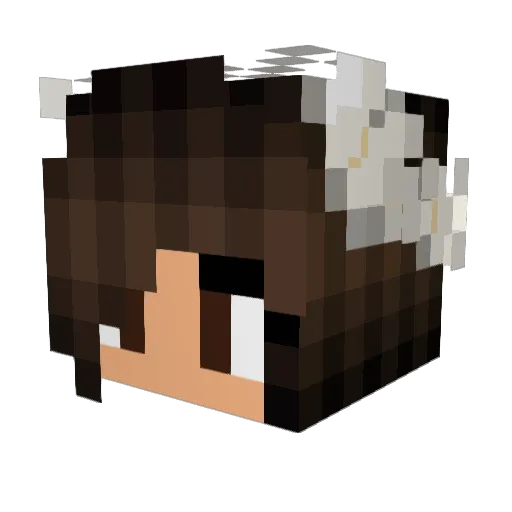 Mirry05 Minecraft avatar head, 3D render
