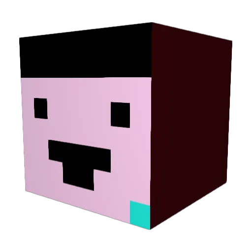 Mirtahmid Minecraft avatar head, 3D render