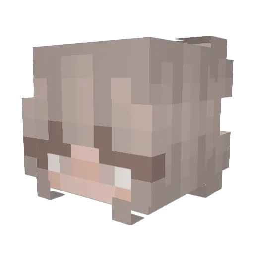Mirtschy Minecraft avatar head, 3D render