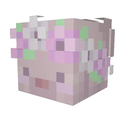 Mirukachan Minecraft avatar head, 3D render