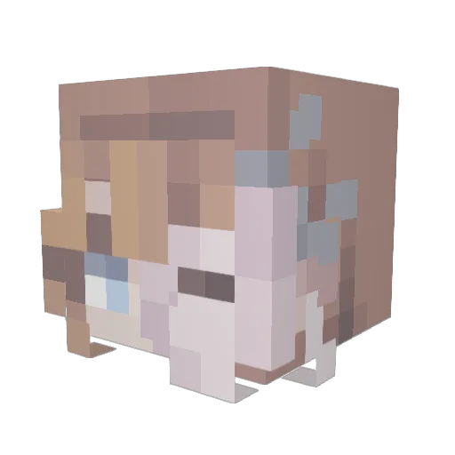 MisAutumn Minecraft avatar head, 3D render