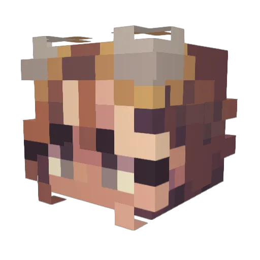 MisTech Minecraft avatar head, 3D render