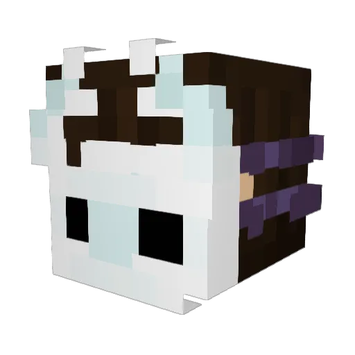 MisZu654 Minecraft avatar head, 3D render