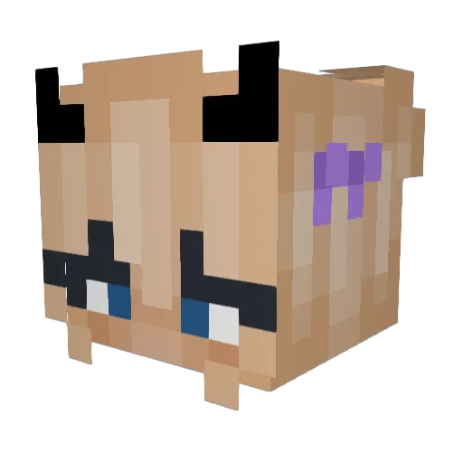 Mis_Burito Minecraft avatar head, 3D render
