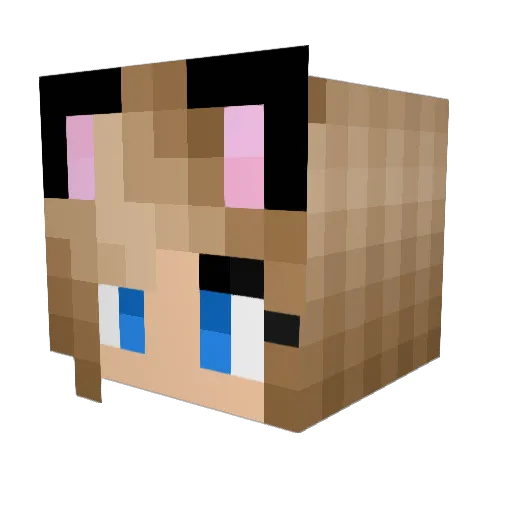 Misa424 Minecraft avatar head, 3D render