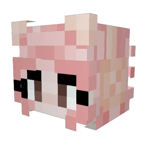 Misact Minecraft avatar head, 3D render