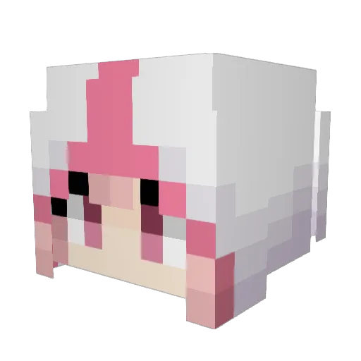 Misael1 Minecraft avatar head, 3D render