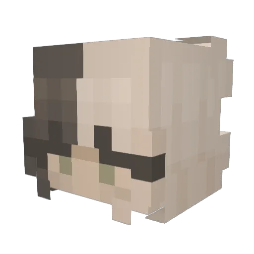 Misaka255 Minecraft avatar head, 3D render