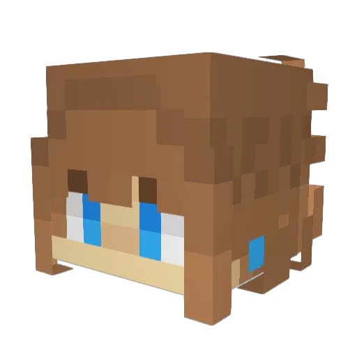 Misary Minecraft avatar head, 3D render