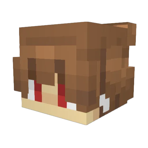 MisaryModric Minecraft avatar head, 3D render