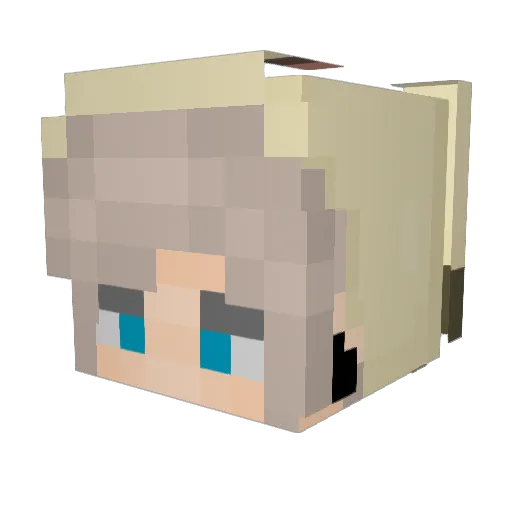 MiscellanousEnvy Minecraft avatar head, 3D render