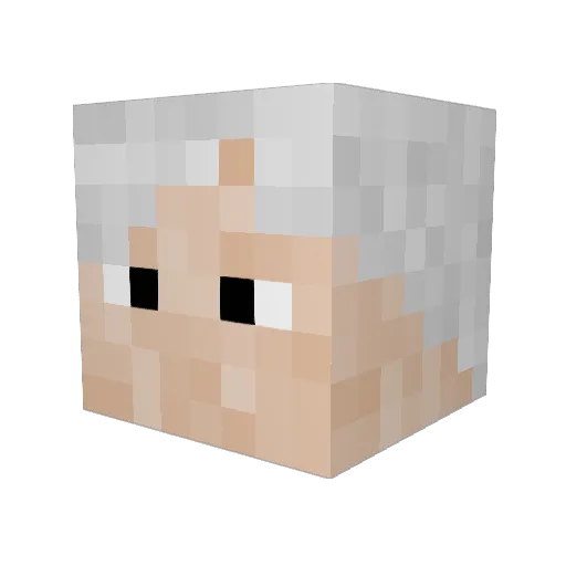 MischaWithDraco Minecraft avatar head, 3D render