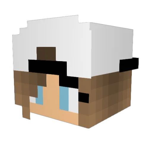 Mischu18 Minecraft avatar head, 3D render