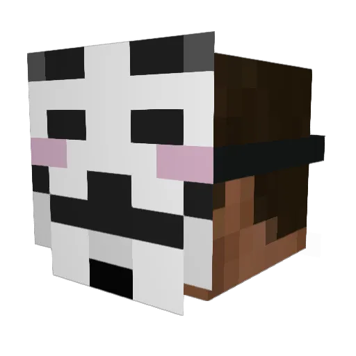 Miserey Minecraft avatar head, 3D render