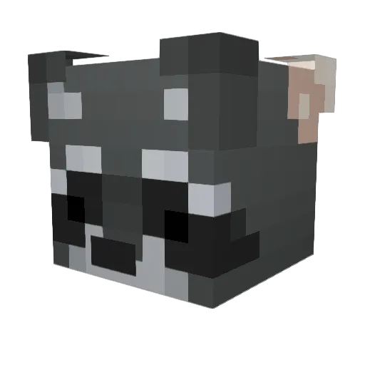 Misfeasance Minecraft avatar head, 3D render