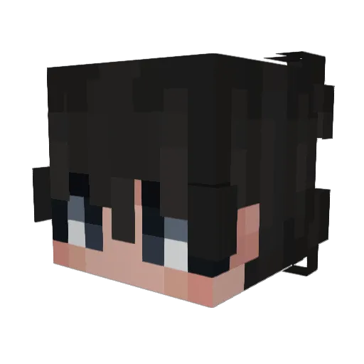 Misfit00 Minecraft avatar head, 3D render