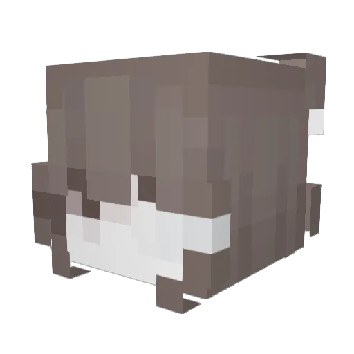 Misguide Minecraft avatar head, 3D render