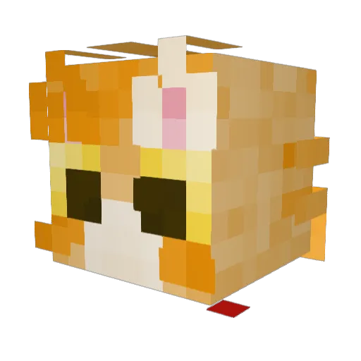 Mish6969 Minecraft avatar head, 3D render