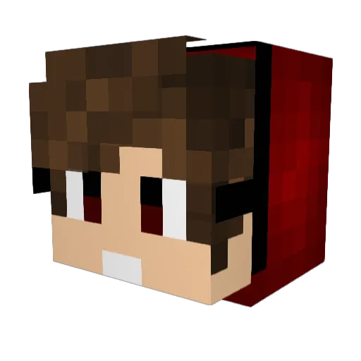 MishGan_2014 Minecraft avatar head, 3D render
