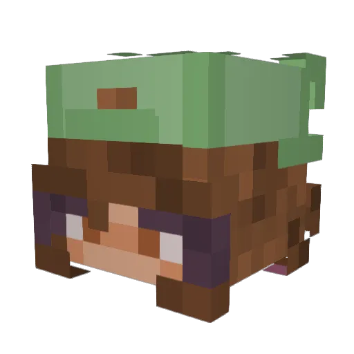 Mish_56 Minecraft avatar head, 3D render