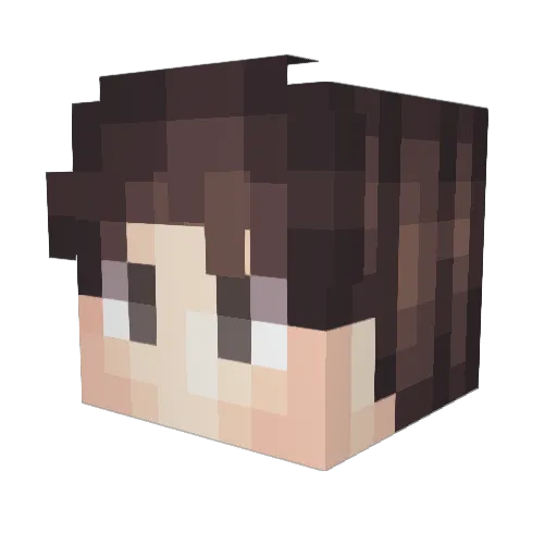 Mishcool_ Minecraft avatar head, 3D render