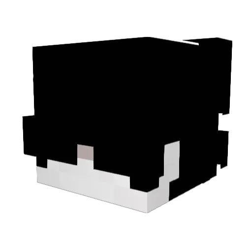Mishees Minecraft avatar head, 3D render