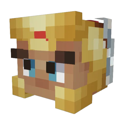 Mishka12 Minecraft avatar head, 3D render