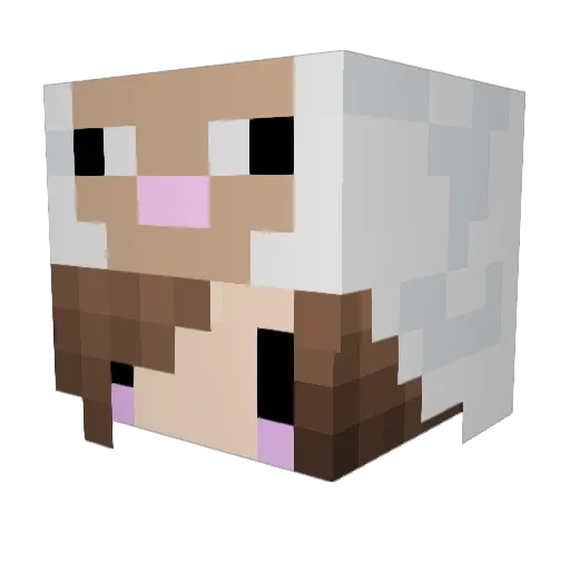 Mishka8888 Minecraft avatar head, 3D render