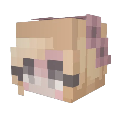 MishkaMouse90 Minecraft avatar head, 3D render