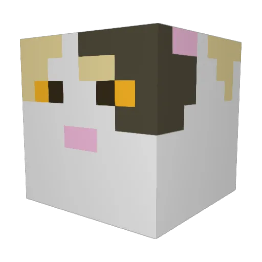 Mishka_Fluff Minecraft avatar head, 3D render