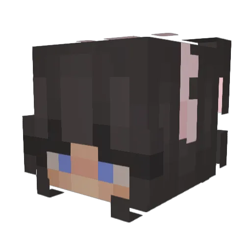 MishkaaTV Minecraft avatar head, 3D render