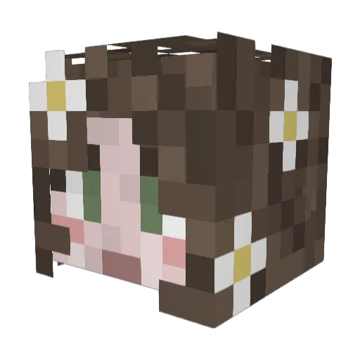 Mishmoushe Minecraft avatar head, 3D render