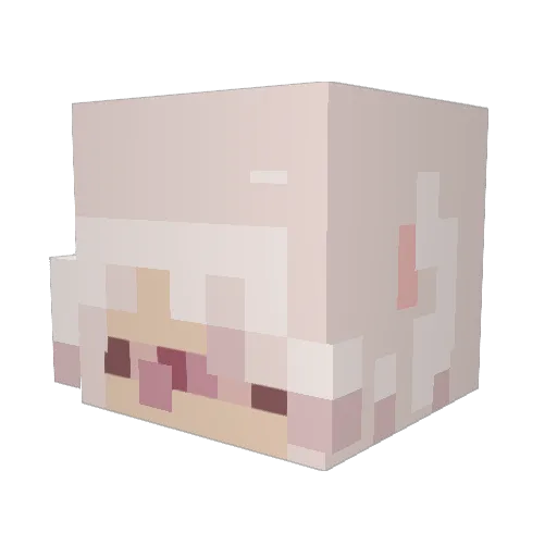 Mishu2 Minecraft avatar head, 3D render