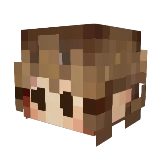 Misia90 Minecraft avatar head, 3D render