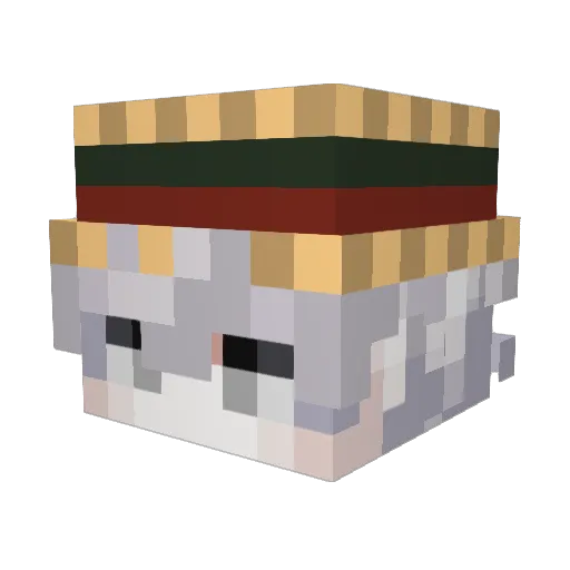 Misinformations Minecraft avatar head, 3D render