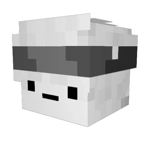 Misio313 Minecraft avatar head, 3D render