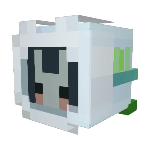 MisjaSatelajta Minecraft avatar head, 3D render