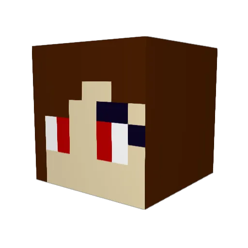 Misk011110 Minecraft avatar head, 3D render