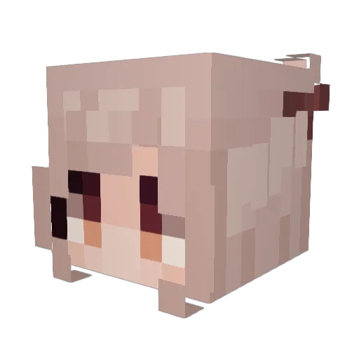 Miskiwi Minecraft avatar head, 3D render