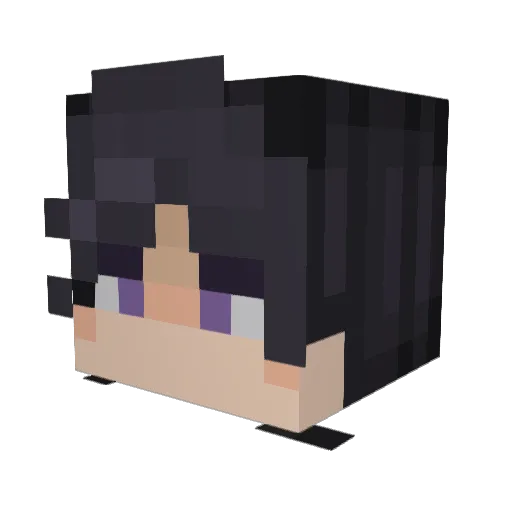 MisleadingGoose Minecraft avatar head, 3D render