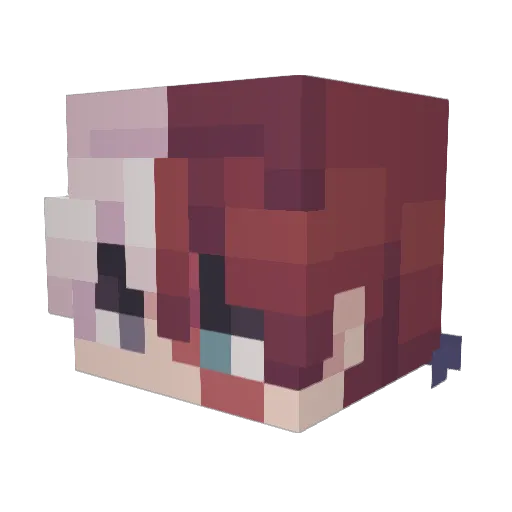 Misled17 Minecraft avatar head, 3D render