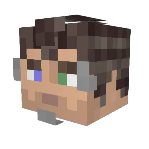 Misogyny2455 Minecraft avatar head, 3D render