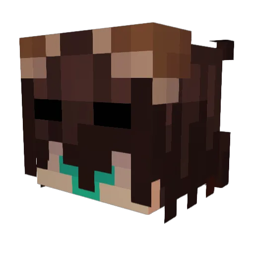 MisplacedPaws Minecraft avatar head, 3D render