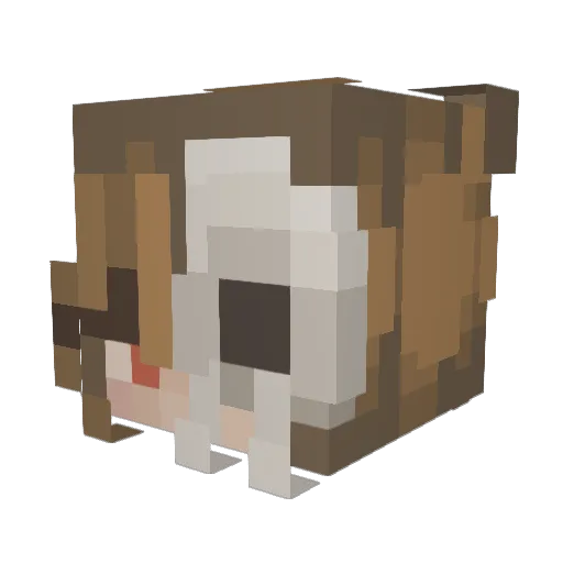 MissAniki Minecraft avatar head, 3D render