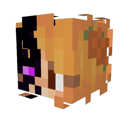 MissCe7 Minecraft avatar head, 3D render