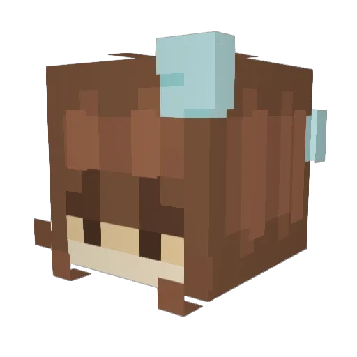 MissDaphnee Minecraft avatar head, 3D render
