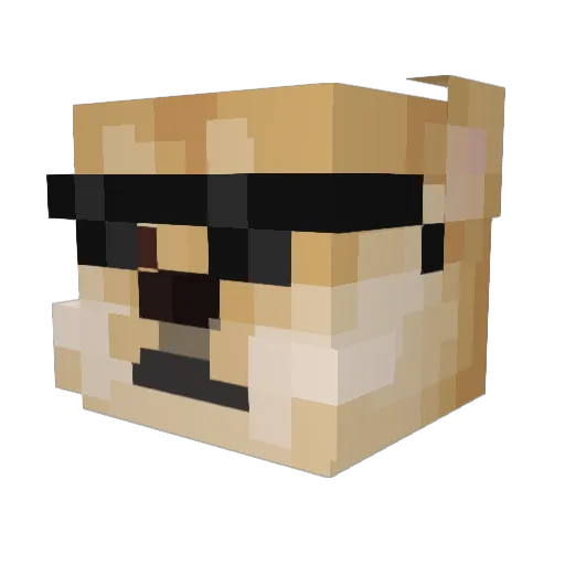 MissDoge Minecraft avatar head, 3D render