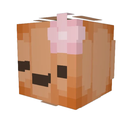 MissEexplorer Minecraft avatar head, 3D render