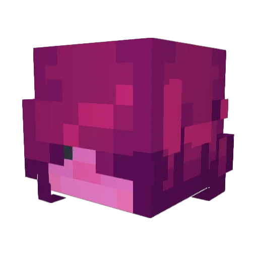 MissElz Minecraft avatar head, 3D render